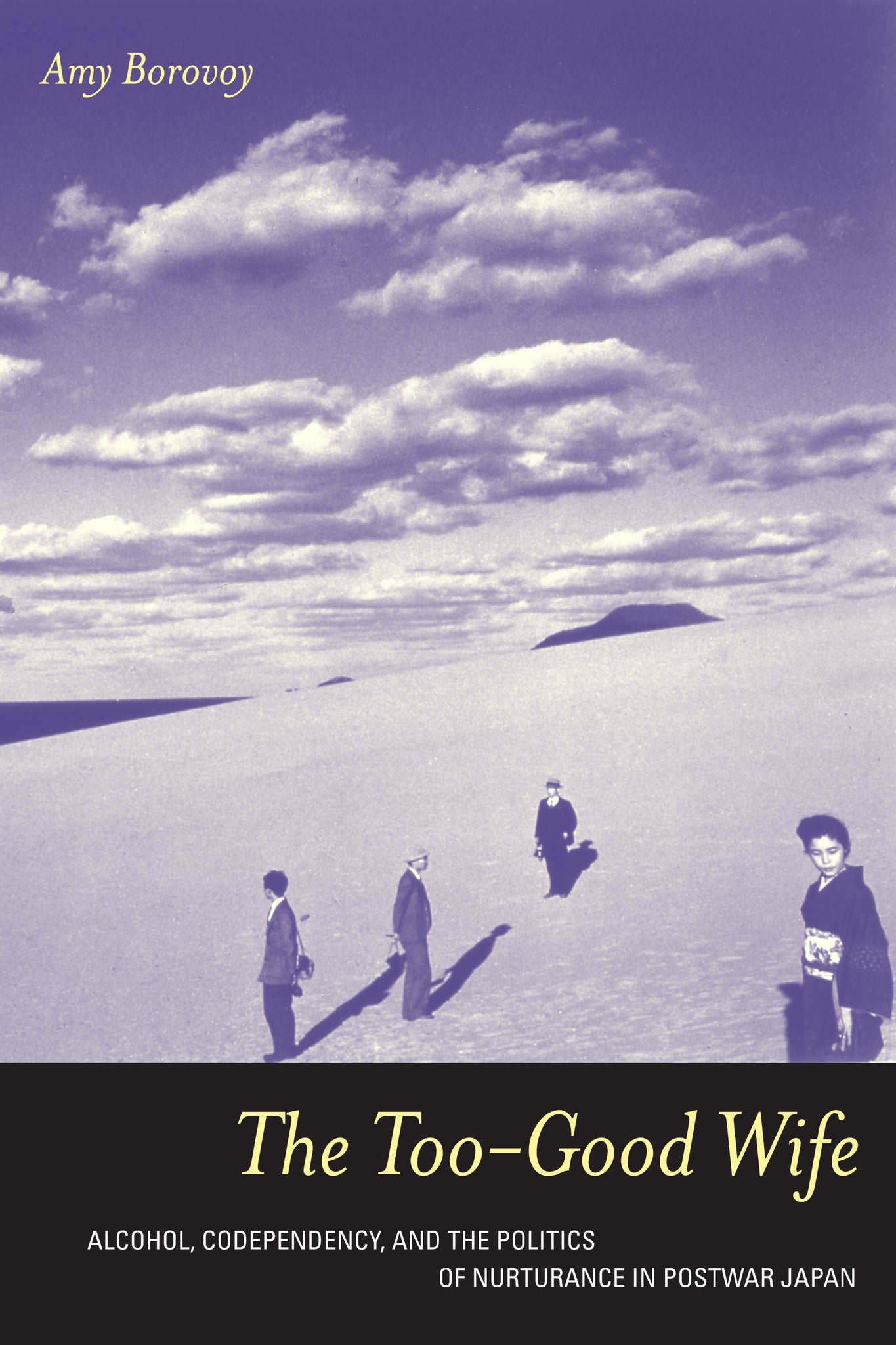 Cover image for The Too-Good Wife ISBN 9780520244528